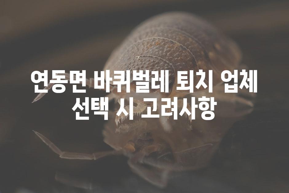 연동면 바퀴벌레 퇴치 업체 선택 시 고려사항