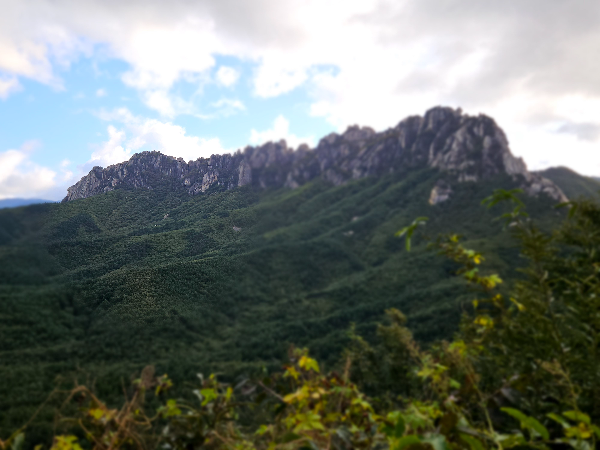 미시령 옛길에서