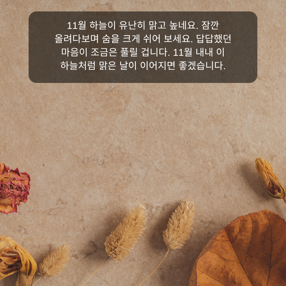 11월 인사말 9 맑고 높은 11월 하늘 인사말 이미지