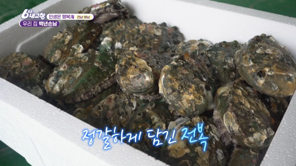 내고향스페셜 인생은 행복해 해남 전복