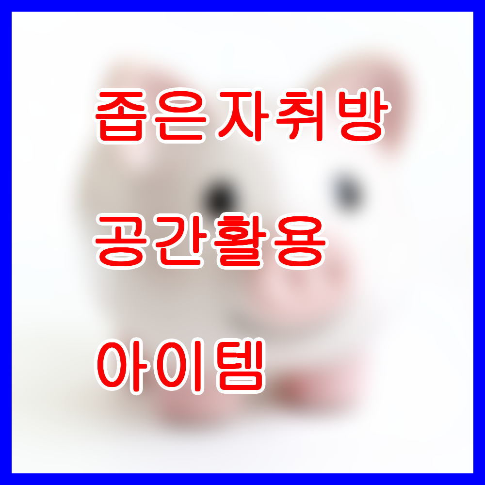 좁은 자취방 공간활용 아이템