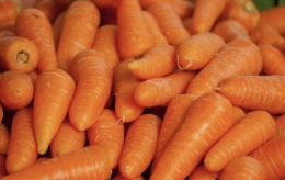 흙당근 보관방법