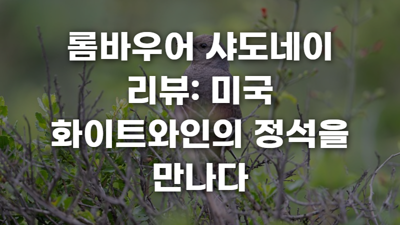 롬바우어 샤도네이 리뷰 사진 1