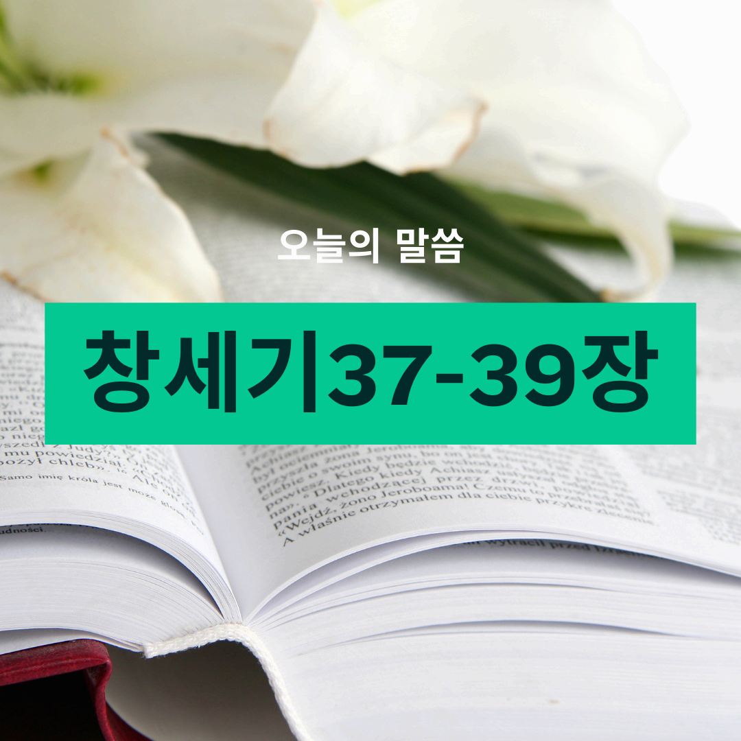 창세기37-39장