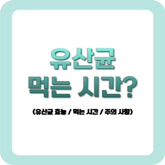 유산균 먹는 시간 총정리