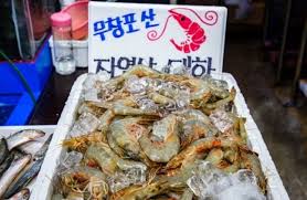 9월 가볼만한 곳 베스트