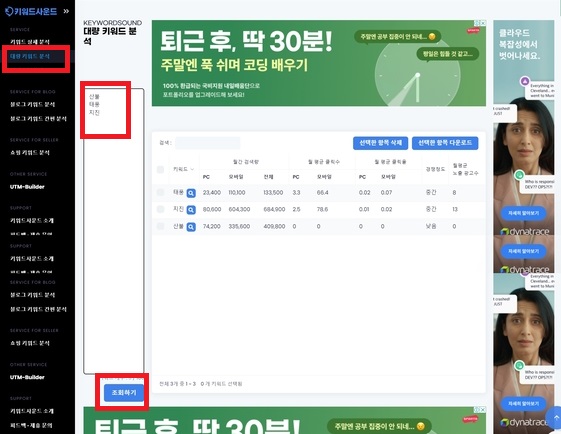 대량키워드분석