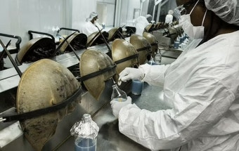 투구게의 파란 피