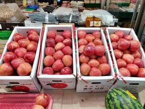 농할상품권 사용처 구매방법 할인 2024