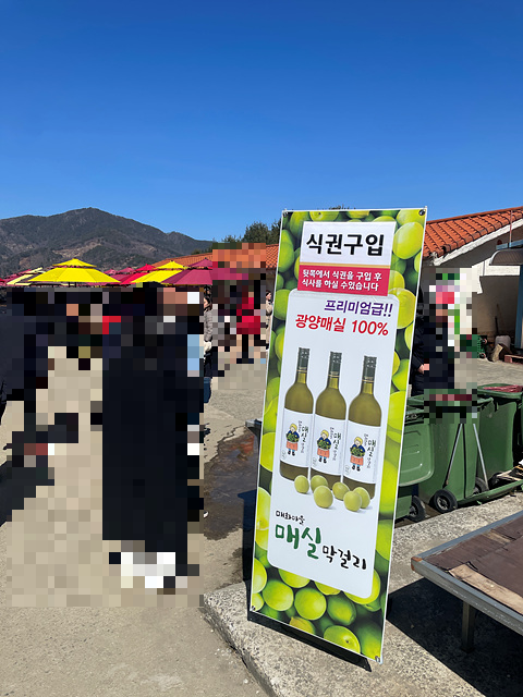 24년 광양 매화 축제 일정 요금 주차