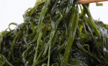 해조칼슘 많이든 음식