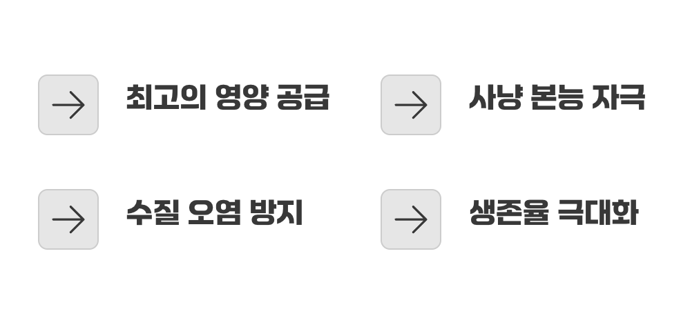 그래서, 물벼룩은 선택이 아닌 필수