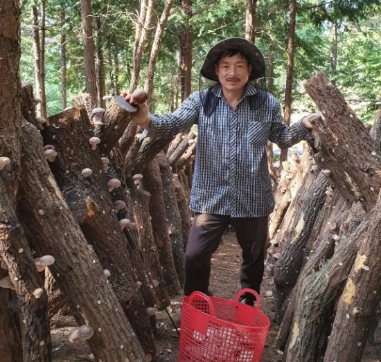 마니네농장