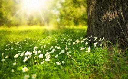 갱년기증상30가지