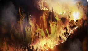 대구산불 화재사진