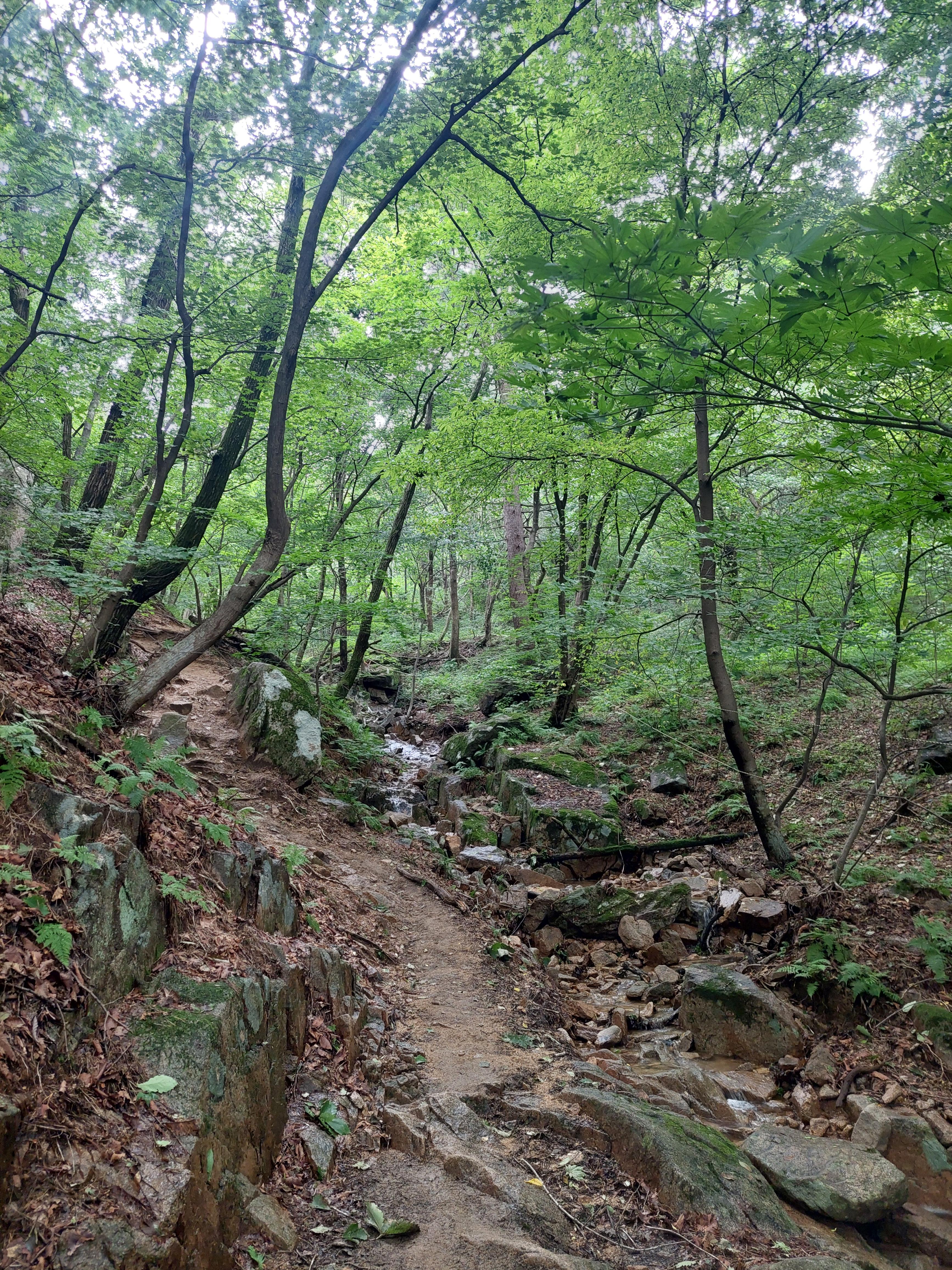 대남문