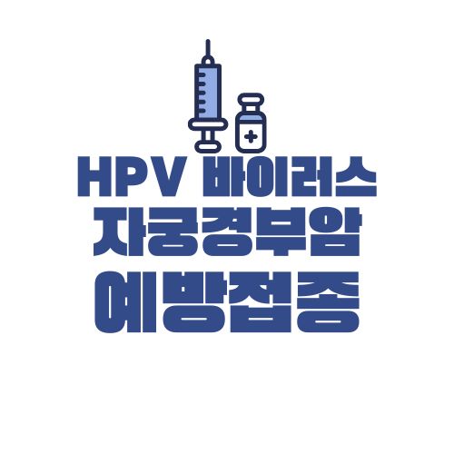 HPV 바이러스 예방접종 정의 증상 감염 치료