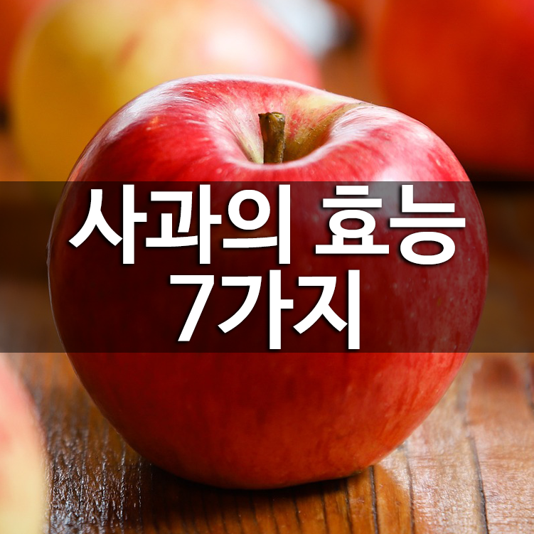 사과의 효능