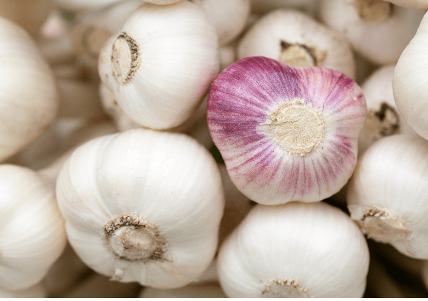 폐에 좋은 음식