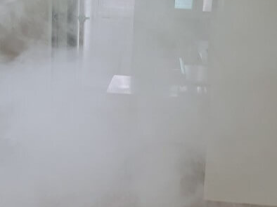 빈대 퇴치 없애는 방법 대처법