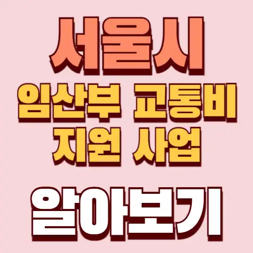 서울시임산부교통비-지원사업-썸네일