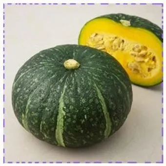 단호박 수확시기와 따는 방법 지역별로 쉽게 알아보는 정보_13