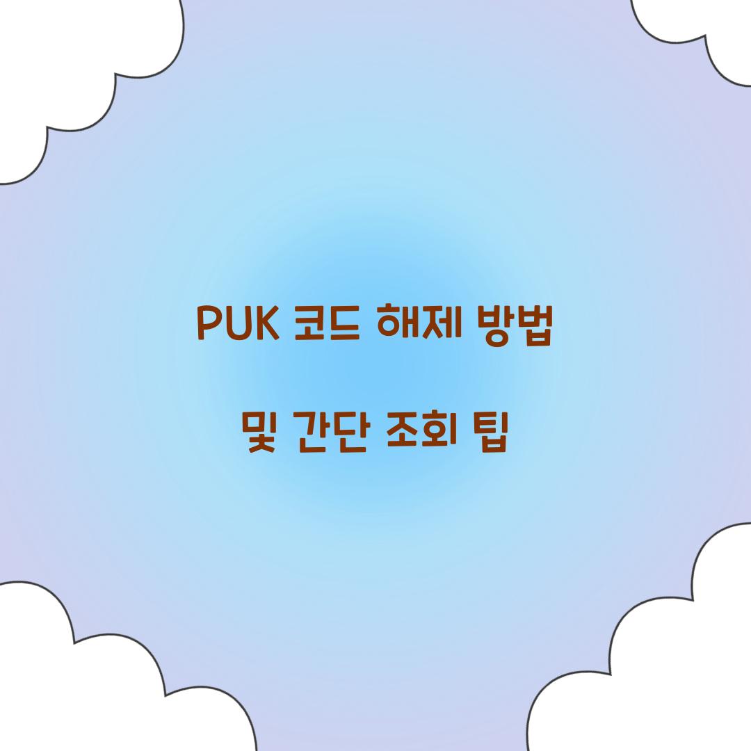 PUK 코드 해제 방법