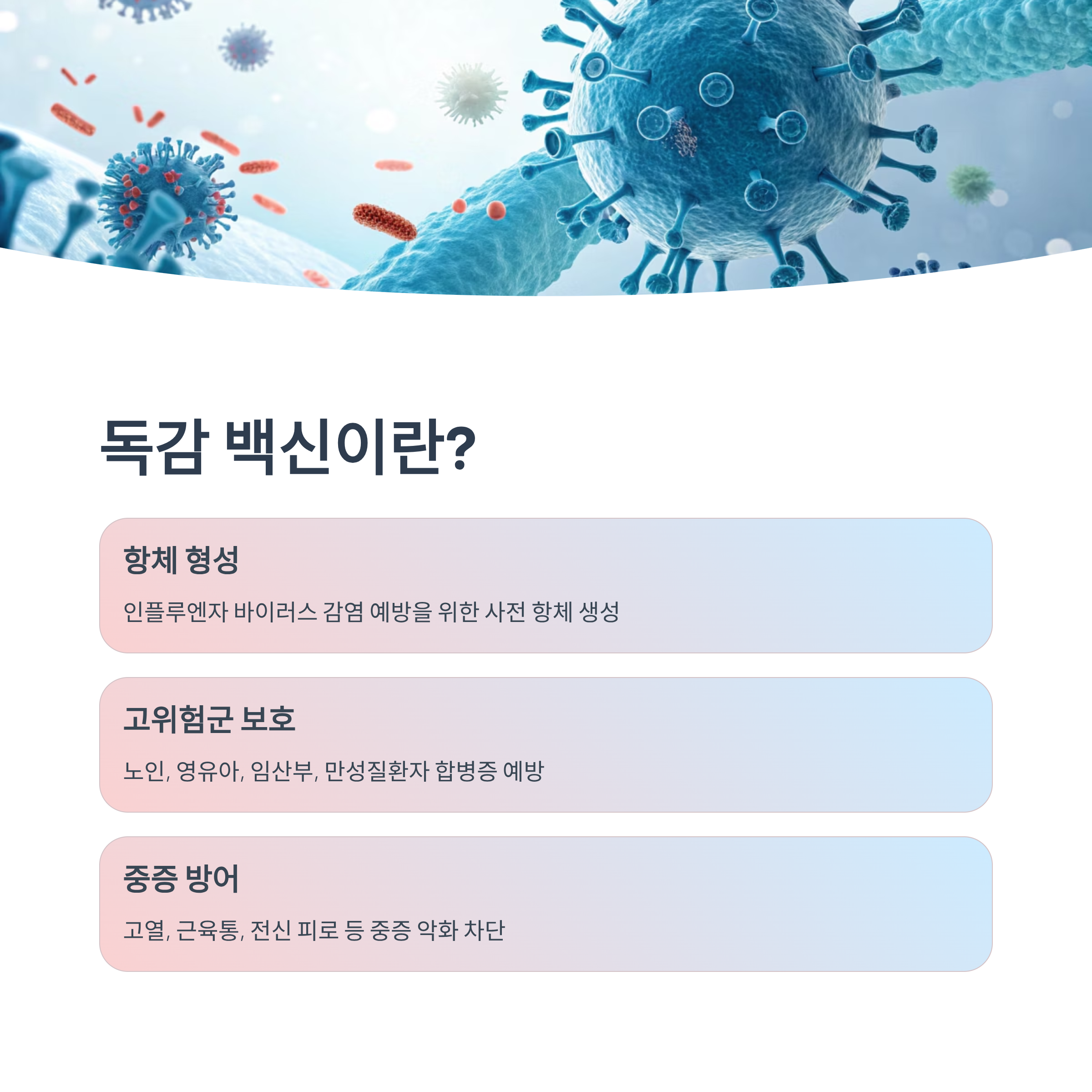 독감 백신 3가 4가 차이 완벽정리|가격·효과·추천대상까지 한눈에 알아보기