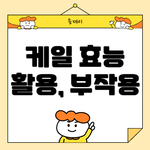 케일의 효능, 부작용, 활용방법 총정리