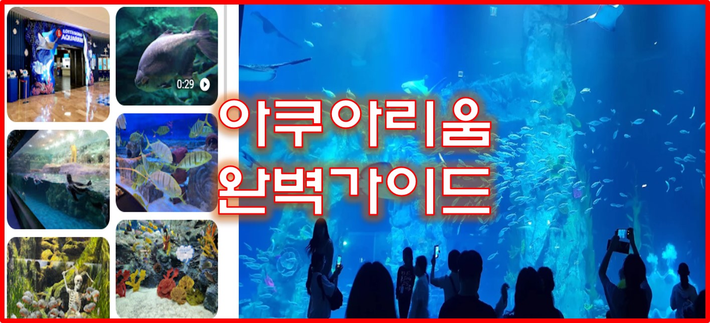 아쿠아리움 완벽가이드