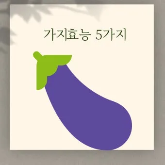 가지 효능 혈압 당뇨 관리 도움 정보_8