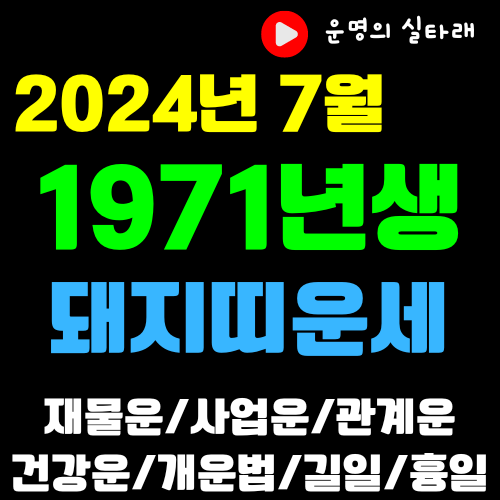 썸네일 사진