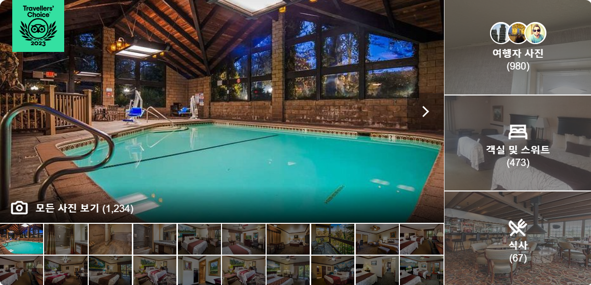 베스트 웨스턴 플러스