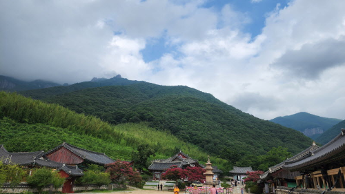 표충사 전경