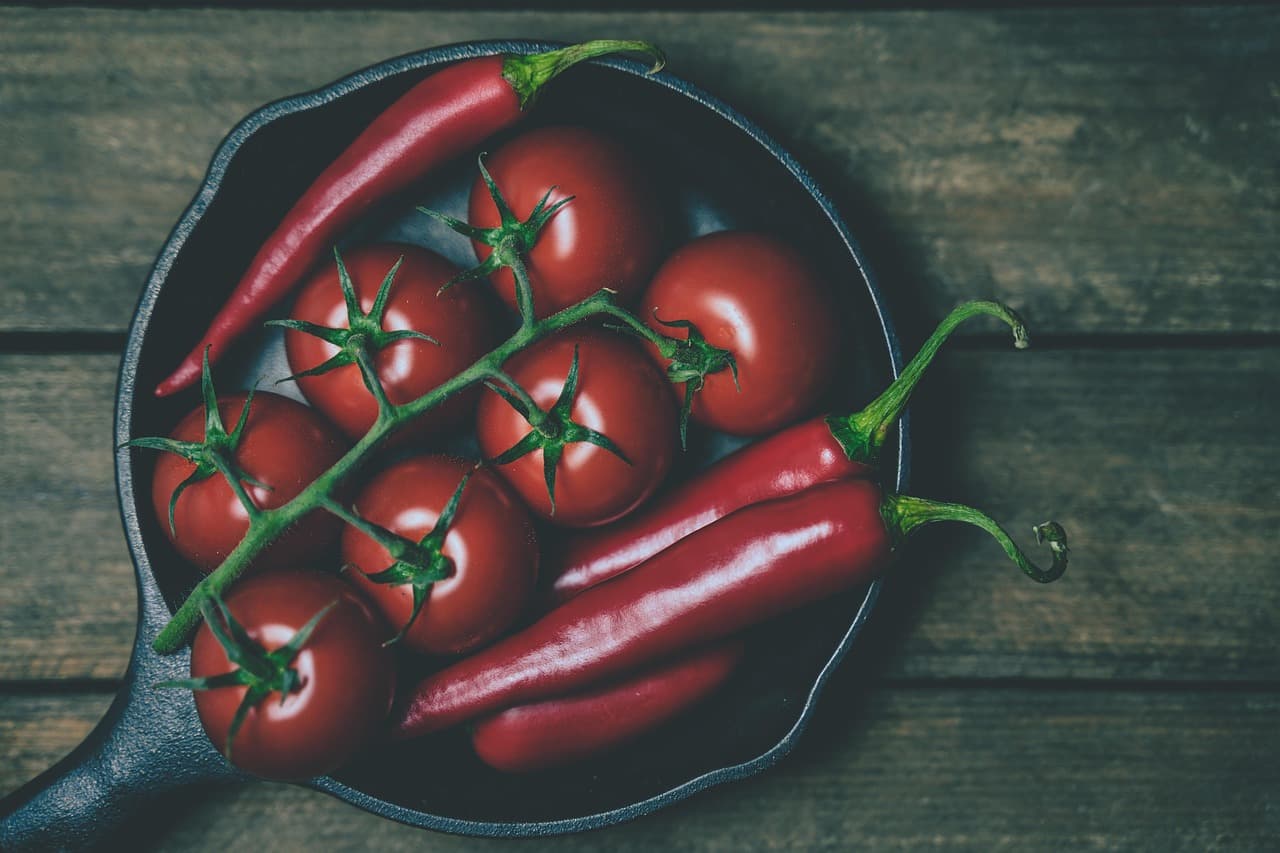 고추&middot;방울토마토의 공간 절약형 재배 노하우