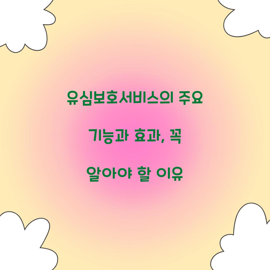 유심보호서비스의 주요 기능과 효과