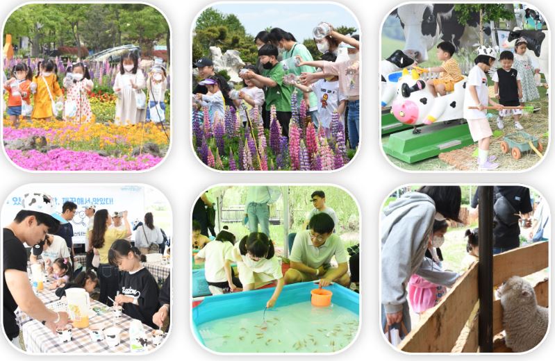 함평 나비축제 프로그램