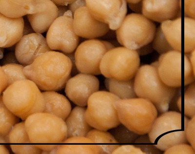 병아리콩 효능 부작용