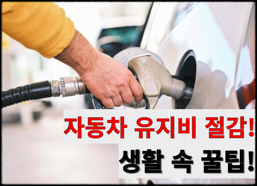 자동차 유지비 절감 꿀팁! 주유비 &amp; 보험료 아끼는 현실적인 방법