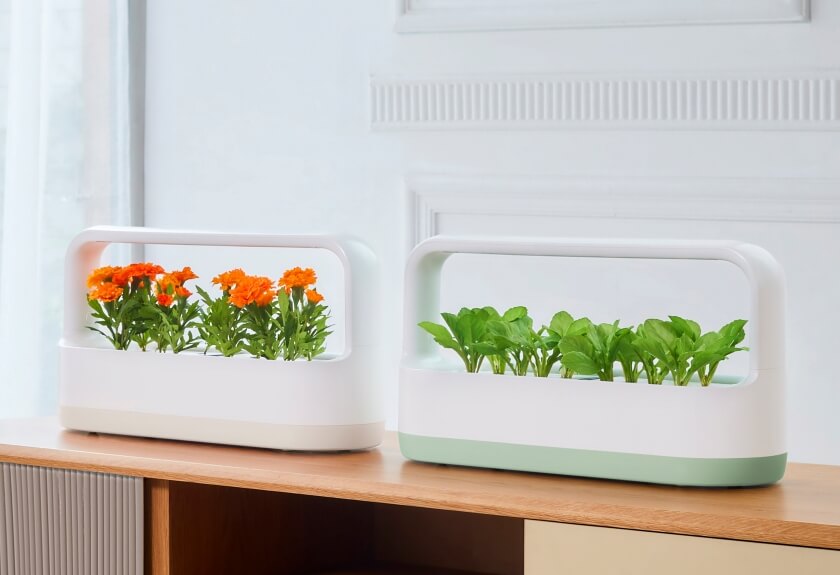 LG틔운미니 피치 민트 컬러