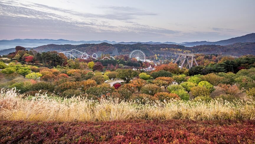 수원·용인 단풍 명소 BEST 5 : 광교호수공원·수원화성·용인민속촌·에버랜드·용인자연휴양림