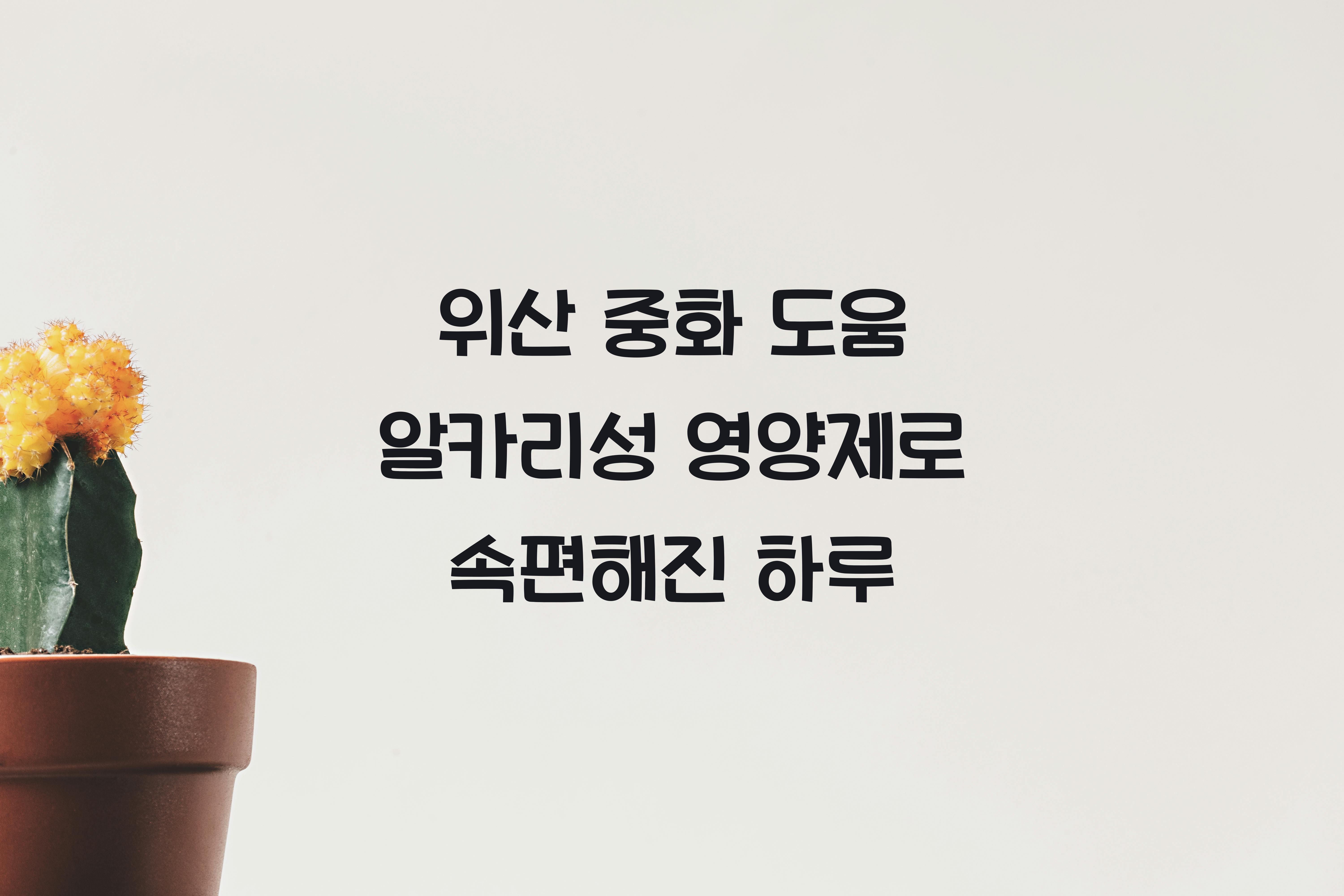 위산 중화 도움 알카리성 영양제