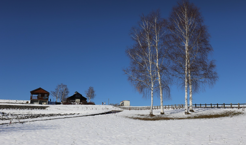 홋카이도 겨울여행 안전 체크리스트 이미지
