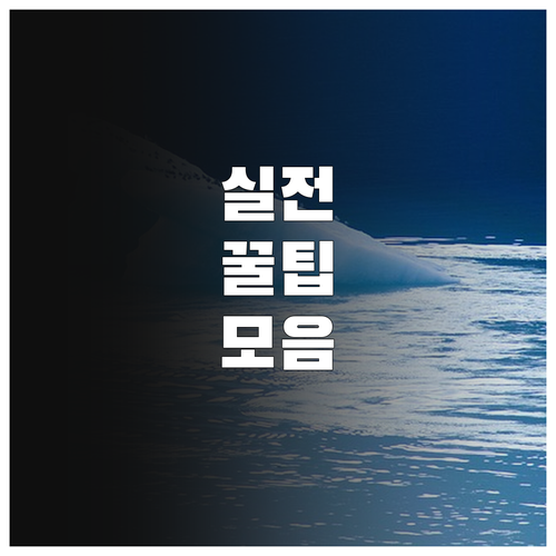 2025 송파구 한부모가족 명절 지원..