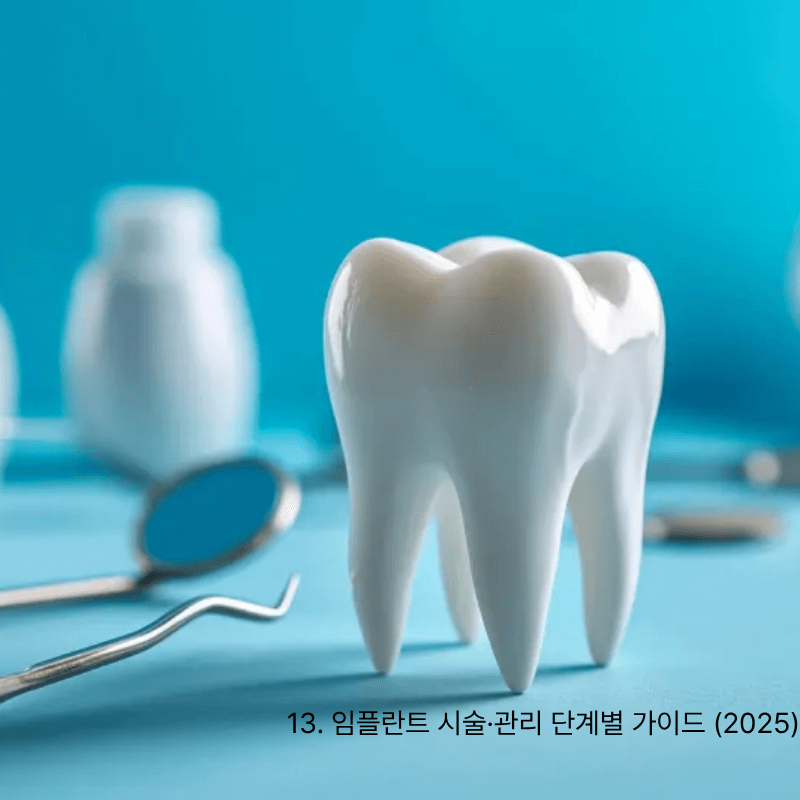 13. 임플란트 시술&middot;관리 단계별 가이드 (2025)