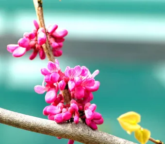 손자병법 작전편 전쟁 국력 역사_2