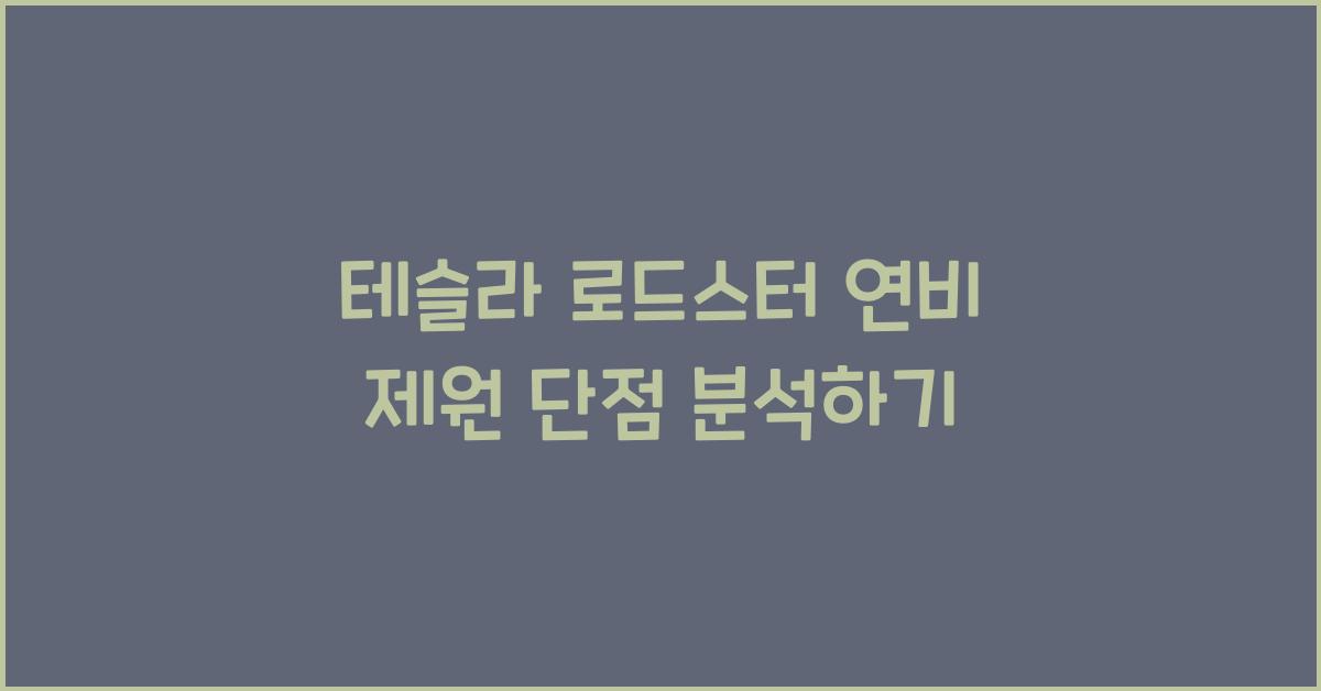 테슬라 로드스터 연비 제원 단점