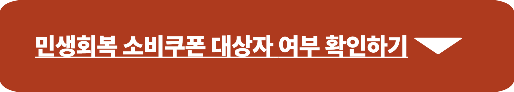 민생회복 소비쿠폰