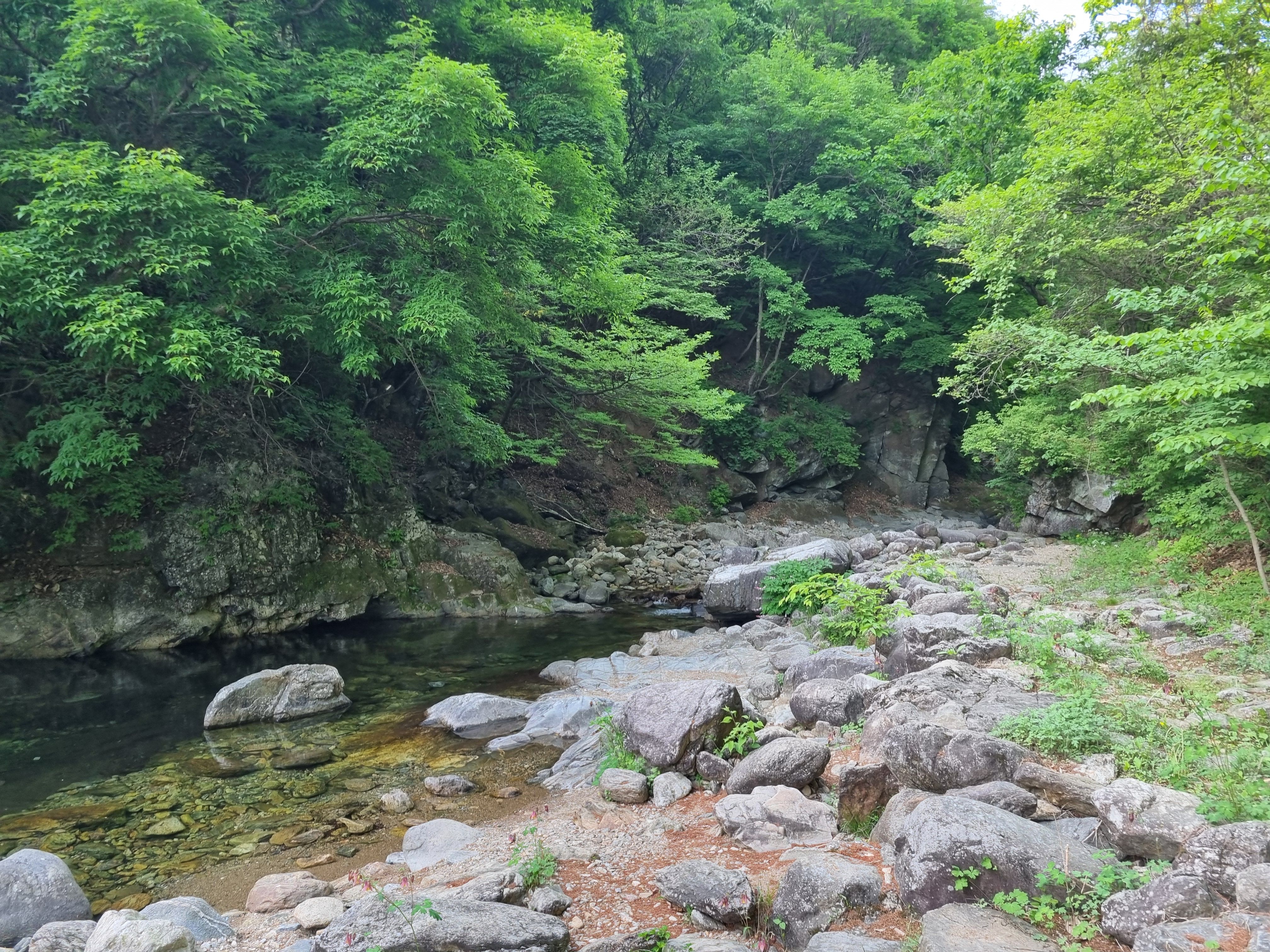 국립자연휴양림