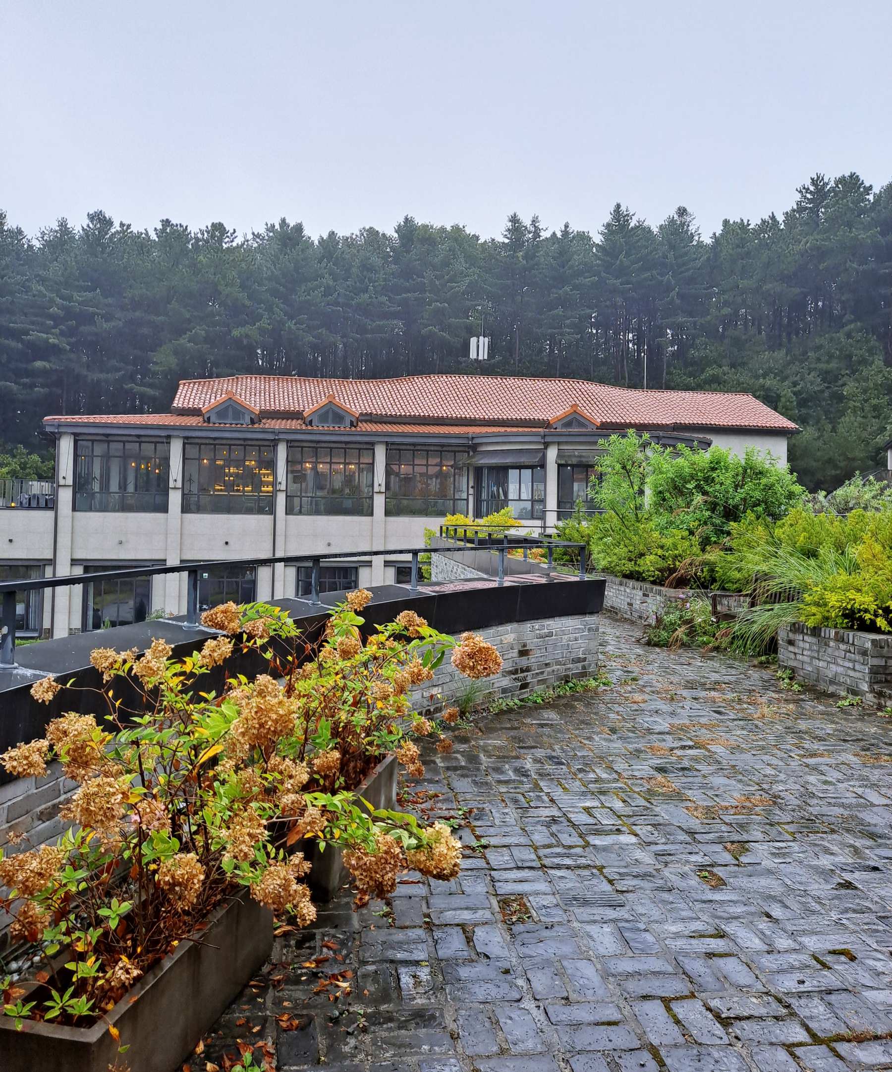 에덴낙원 세상의모든아침